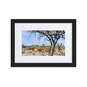 Towering Tree - Matte Paper Framed Poster With Mat