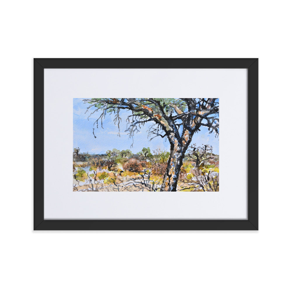 Towering Tree - Matte Paper Framed Poster With Mat