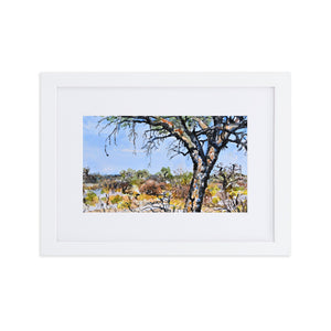 Towering Tree - Matte Paper Framed Poster With Mat