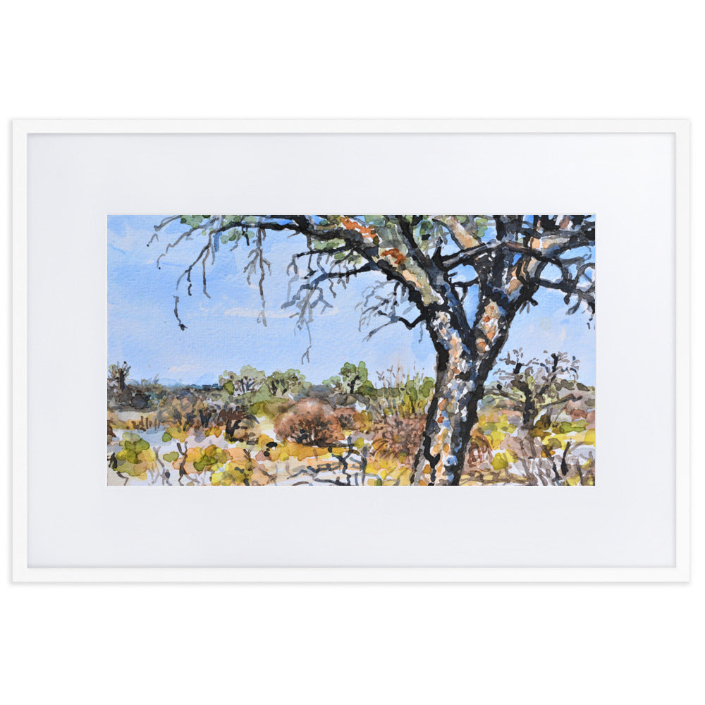 Towering Tree - Matte Paper Framed Poster With Mat